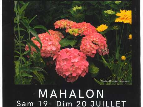 Festival de l'Hortensia