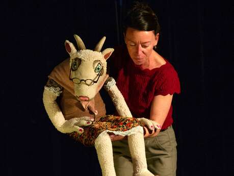 Marionnettes - Les Histoires de Poche de Molly Biquette