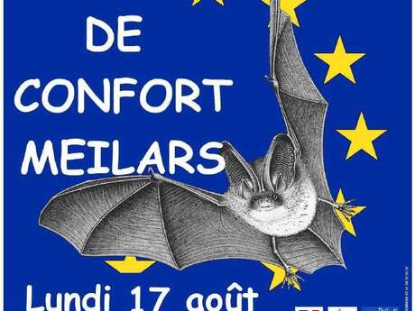 Nuit de la Chauve-Souris