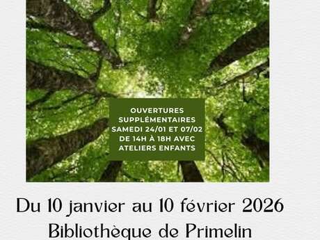 Exposition " Les arbres remarquables"