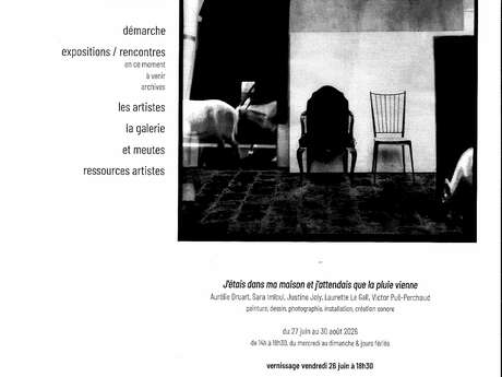 Exposition  "J'étais dans ma maison et j'attendais que la pluie vienne" à la Galerie Méandres à Huelgoat.
