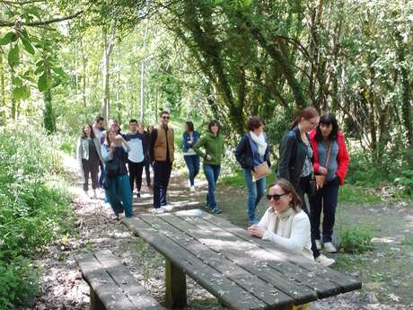 Aire de pique nique du Launay