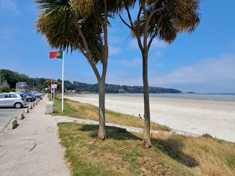 Plage de Saint-Efflam
