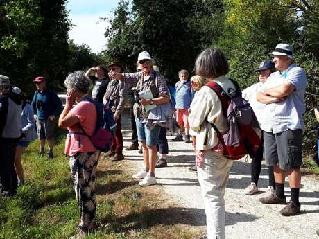 Balade nature en breton avec Lulu