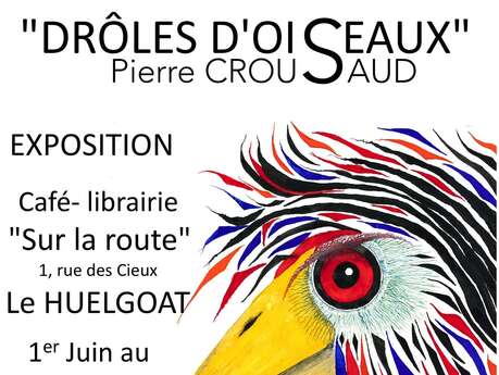 Exposition "Drôle d'Oiseaux" de Pierre Crousaud à la librairie