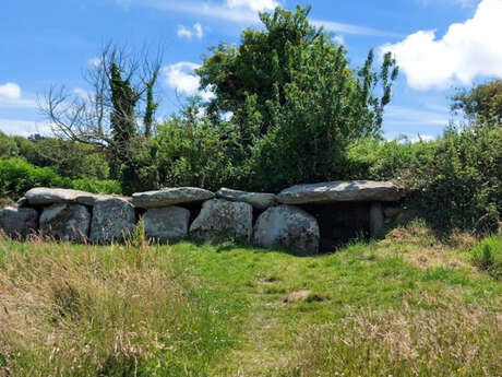 Allée couverte de Kerguntuil