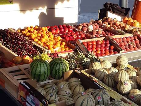Tudal Fruits