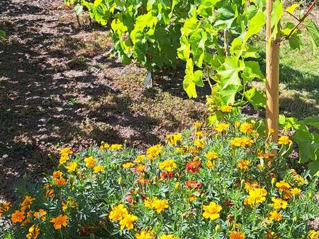 Portes Ouvertes aux Jardins de Ty Glaz, jardins en biodynamie