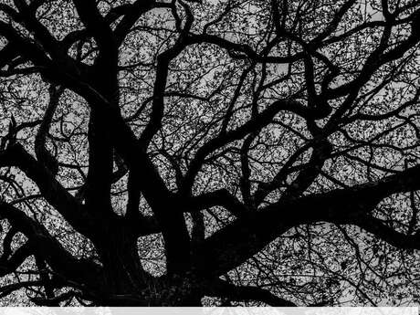 Exposition photos de Jean-Paul MATHELIER