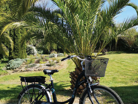 Location de vélos