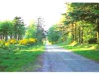 Ancienne voie romaine de Carhaix au Yaudet