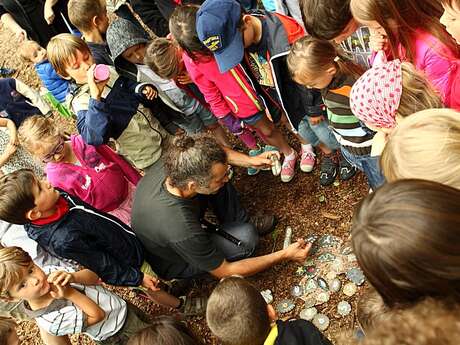 Le Trésor des Korrigans avec ADDES à Botmeur.