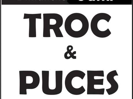 Troc et Puces de l'association Morgane