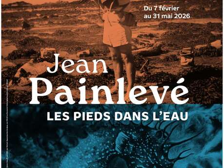 Visite guidée de l'exposition temporaire : "Jean Painlevé, les pieds dans l'eau"