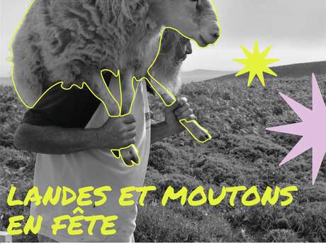 Landes et moutons en fête