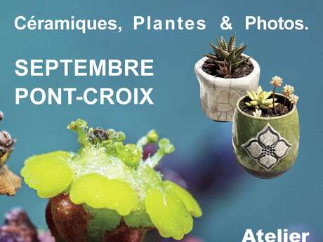 La trop succulente exposition ! à l'Atelier d'Images