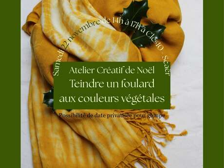 Atelier créatif de Noël : Teindre un foulard bio aux couleurs végétales