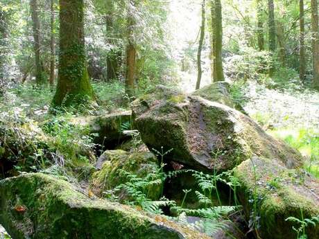 Allée couverte du Brohet