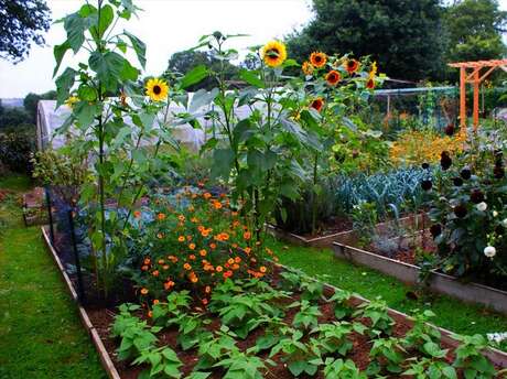 Les Amis des Jardins : Réunion d'Octobre