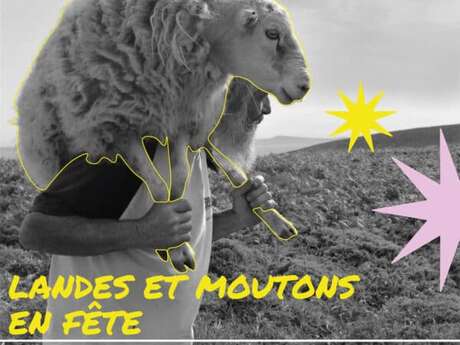 Landes et moutons en fête