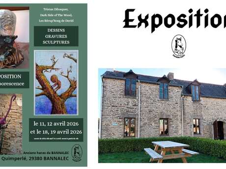 Exposition [Art]borescence