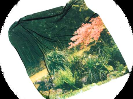 Atelier Transfert Polaroïd