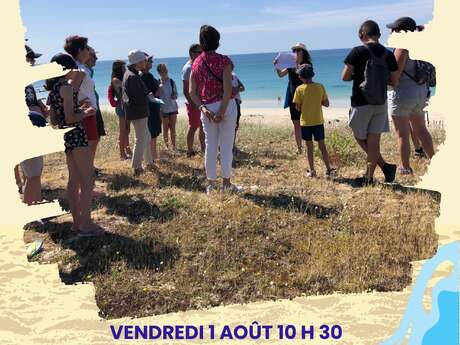 Balade nature à la découverte des dunes