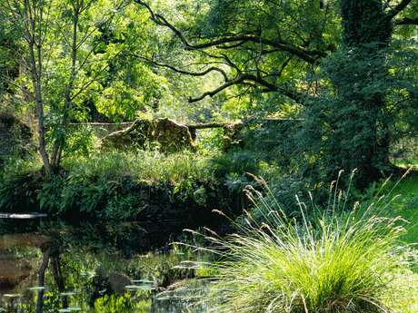 Restitution de l’étude historique du site du Moulin du Roch