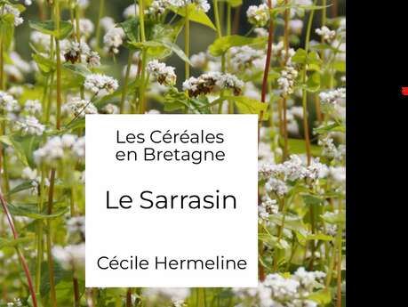 Causerie autour des céréales