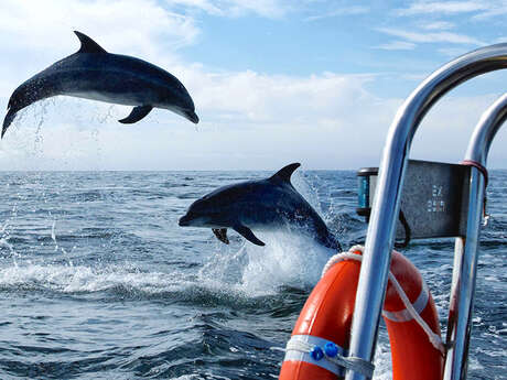 Archipel Excursions Archipel Excursions