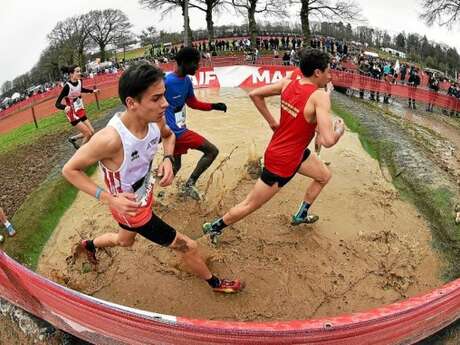 Championnat de France de Cross country