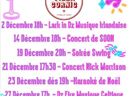 Concert musique celtique DZEire