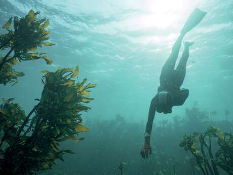 Conférence Le souffle des femmes sur les ama - pêcheuses sous marines japonaises