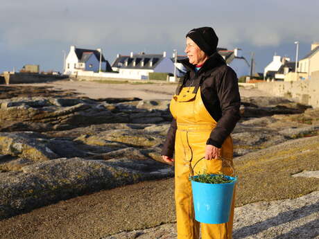 Atelier cuisine et infos sur les algues alimentaires par Scarlette Le Corre - Also in english, auf Deutsch.