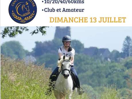 endurance équestre