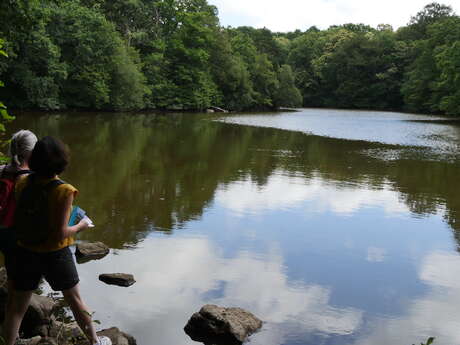 Circuit du Parc de la Higourdais