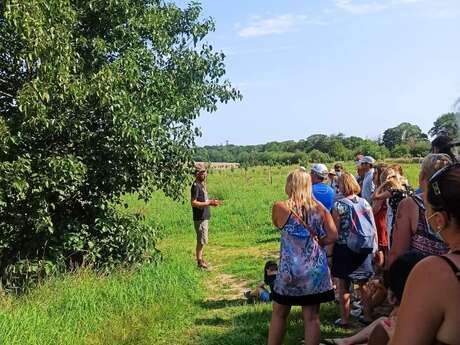 Visite de la Cidrerie et Distillerie de l'Apothicaire