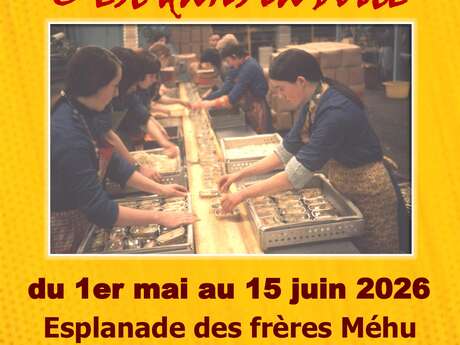 Exposition photos "C'est dans la boîte"
