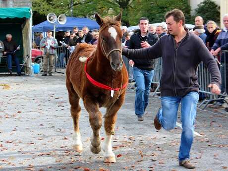 La Foire aux chevaux à l'ancienne