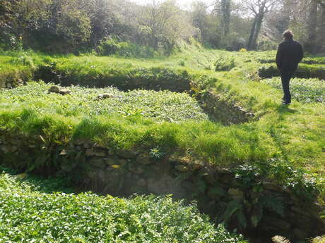 Routoirs à lin de Gwazh an Orc'hant