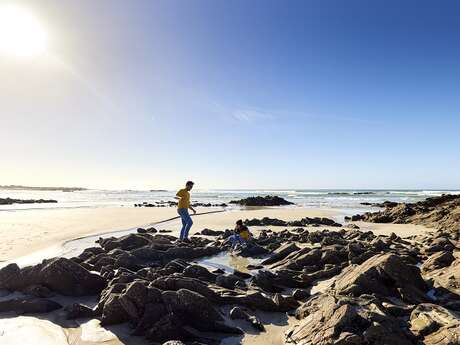 Le Printemps de l'estran - Expostion de photos