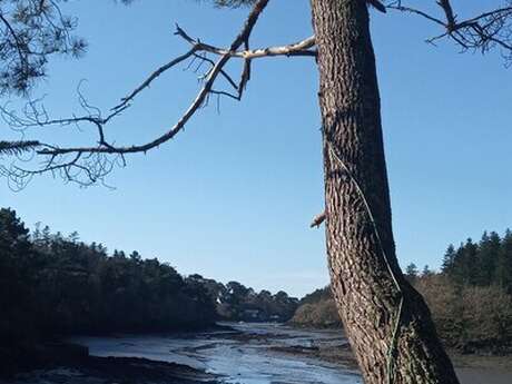 Sophro-balade rives de Merrien