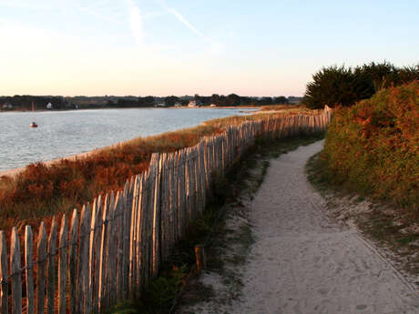 Plage de Toul Gwenn, Ile Grande