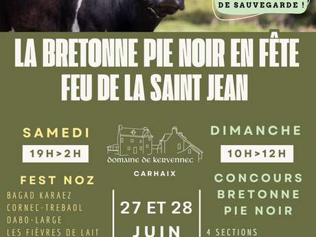 Concours bretonne Pie noir