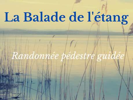 Balade pédestre de l'étang