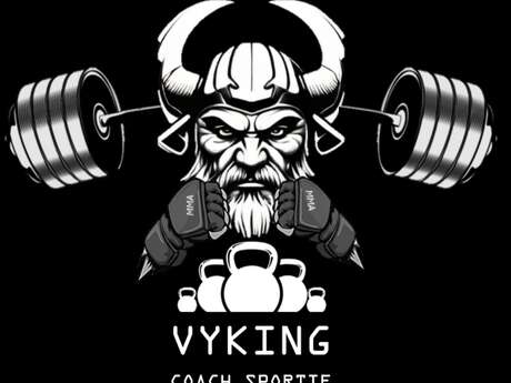 Vyking Coaching