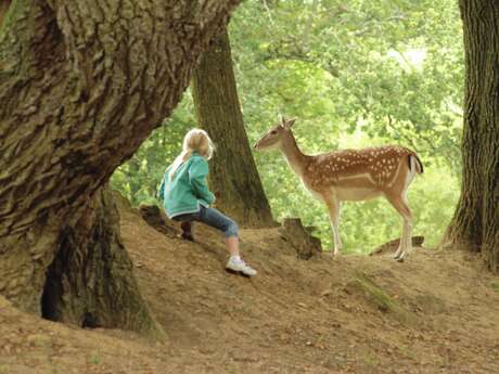 Parc Animalier du Quinquis