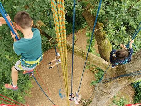 La tête en l'air, grimpe d'arbres