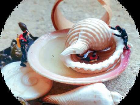 Exposition photo La vie en mini