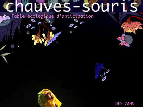 La nuit où les chauves-souris - Spectacle
